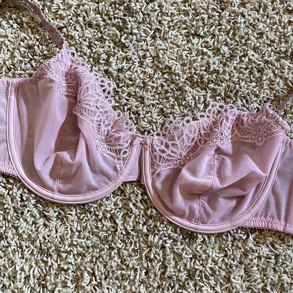 Affinitas Intamates Blush Sheer Mesh & Lace Trim Bra